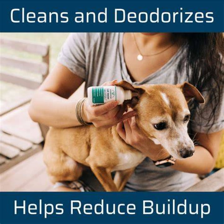 How do you deodorize a dog?