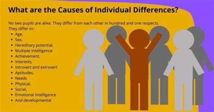 How do you describe individual differences?