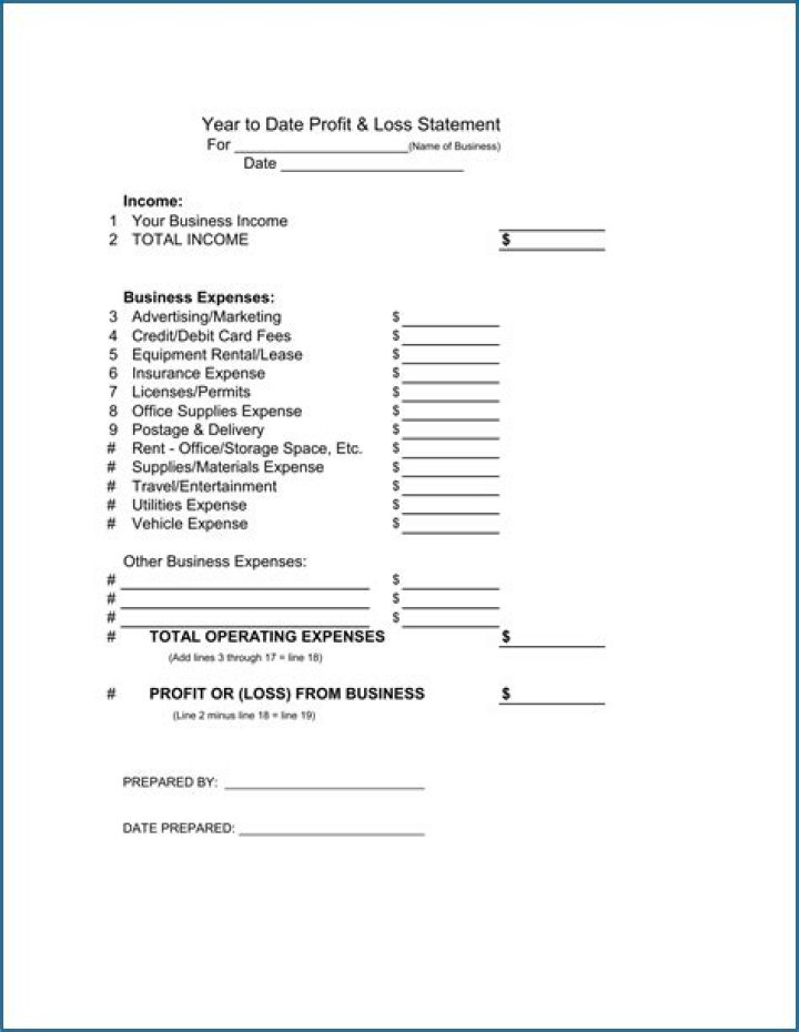 How do you do a year to date profit and loss statement?