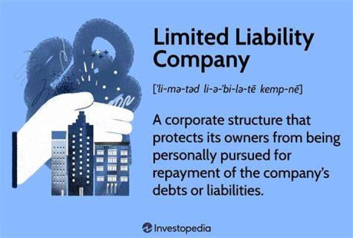 How do you explain a limited liability company?