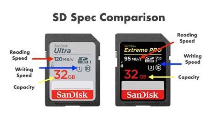 How do you find SD?