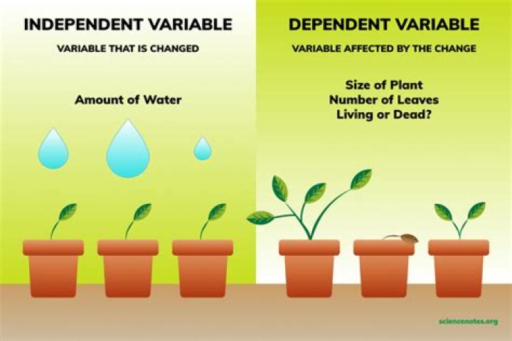 How do you find the independent and dependent variables?