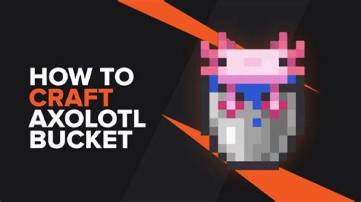How do you get a axolotl in a bucket in Minecraft PE?