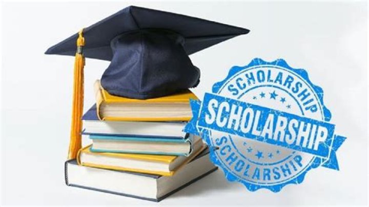 How do you get a scholarship for university?