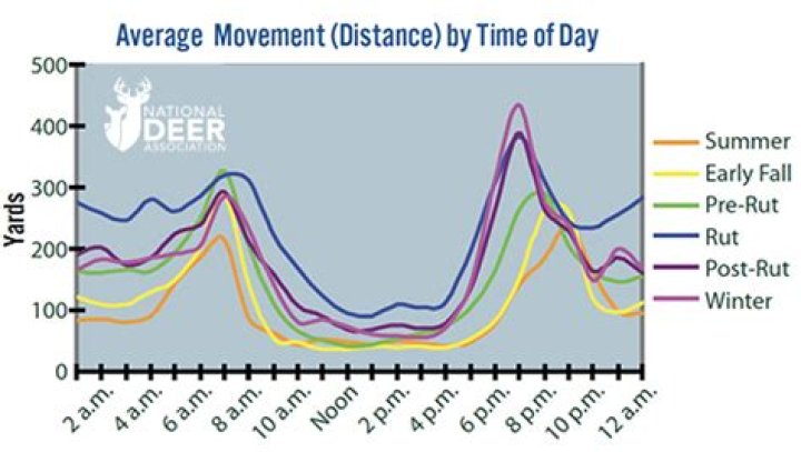 How do you get deer to move during the day?