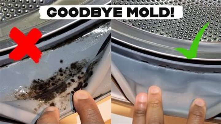 How do you get mold out of a front loading washing machine?