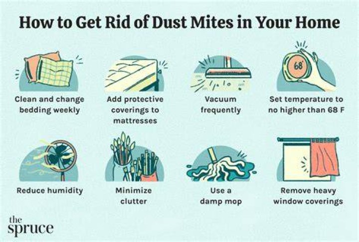 How do you get rid of dust worms?