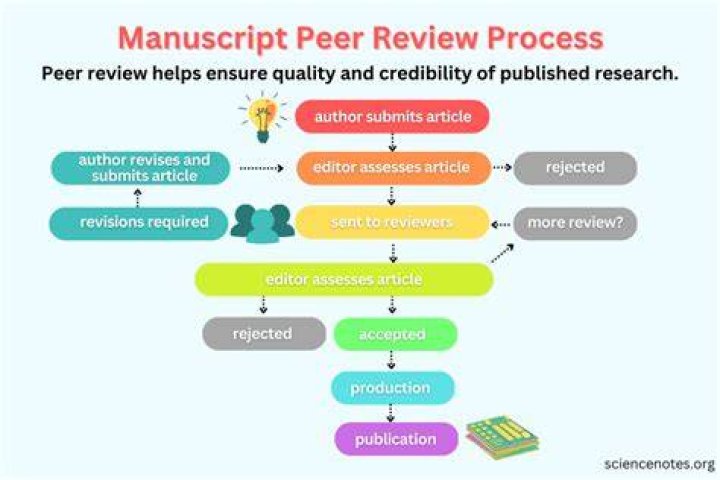 How do you give a good peer review?