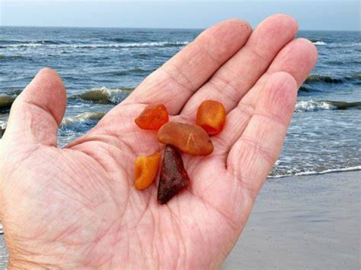 How do you identify amber on the beach?