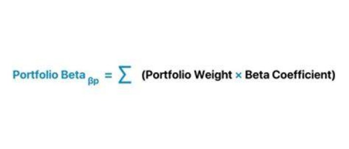 How do you interpret a portfolio beta?