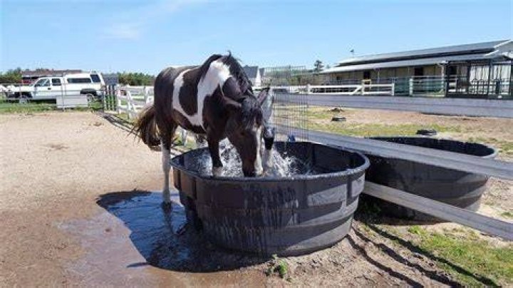 How do you keep a horse from pawing water trough?