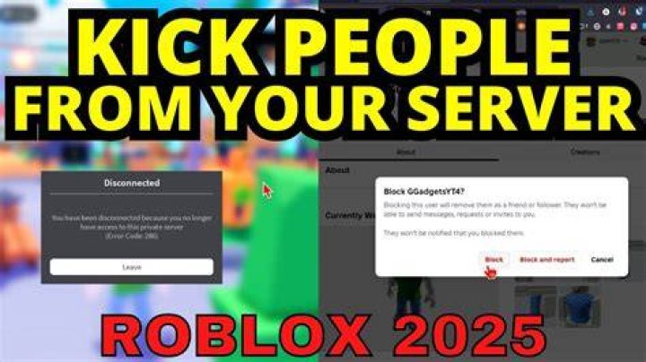How do you kick someone from a private server on Roblox?