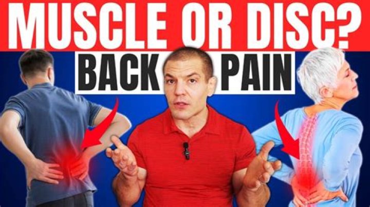 How do you know if back pain is muscle or disc?