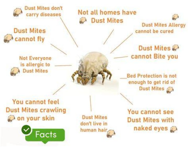 How do you know if you have mites in your bed?