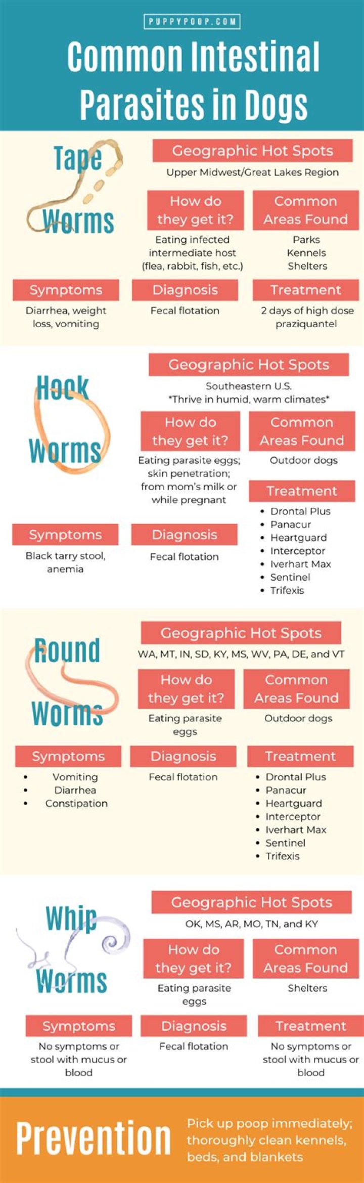 How do you know if your dog has intestinal worms?