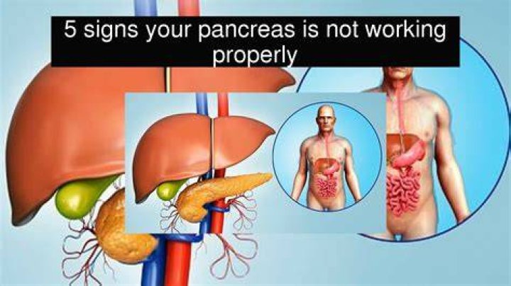 How do you know if your pancreas is not working properly?
