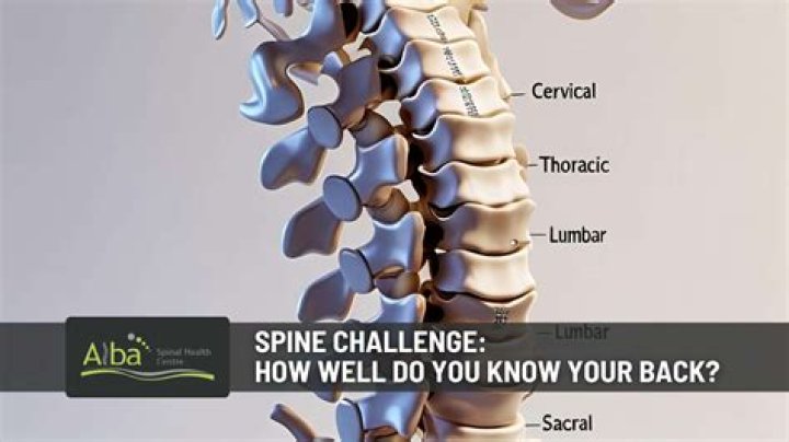 How do you know if your spine is aligned?
