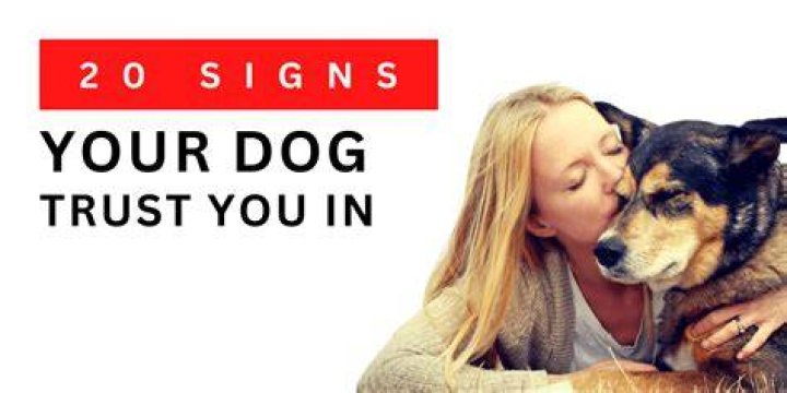How do you know when a dog trusts you?