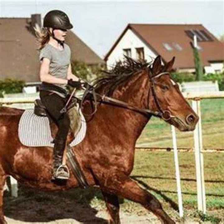 How do you know when a horse is sad?