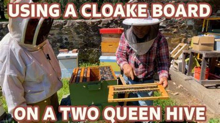 How do you make a queen bee?