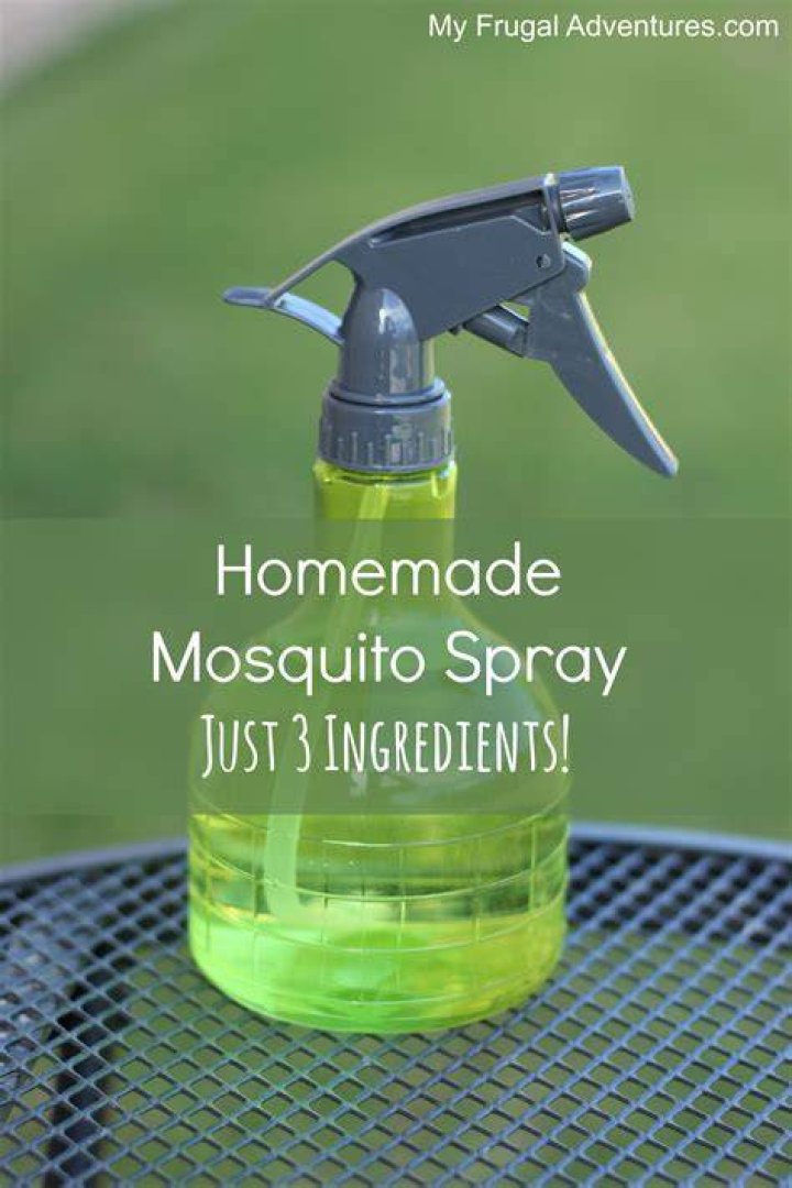 How do you make homemade mosquito repellent for dogs?