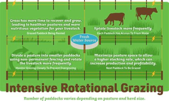 How do you make pastures grow faster?