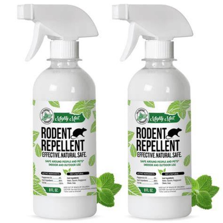 How do you make peppermint rodent spray?