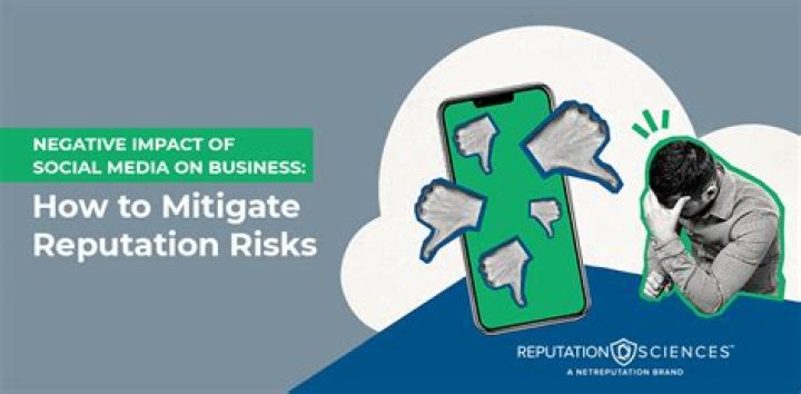 How do you minimize the negative impact of a business on the government?