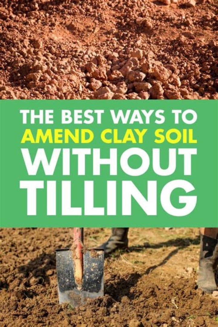 How do you modify clay soil without tilling?