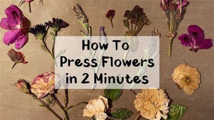 How do you press flowers in the microwave?