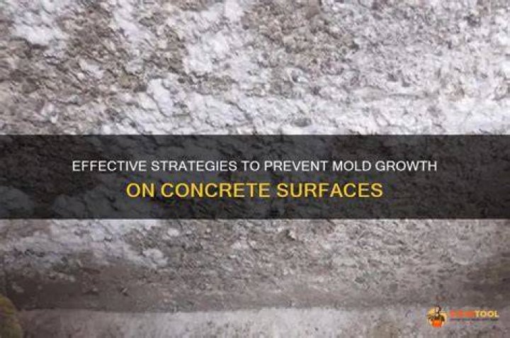 How do you prevent mold from growing on concrete?