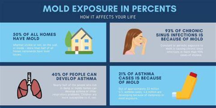 How do you recover from mold exposure?
