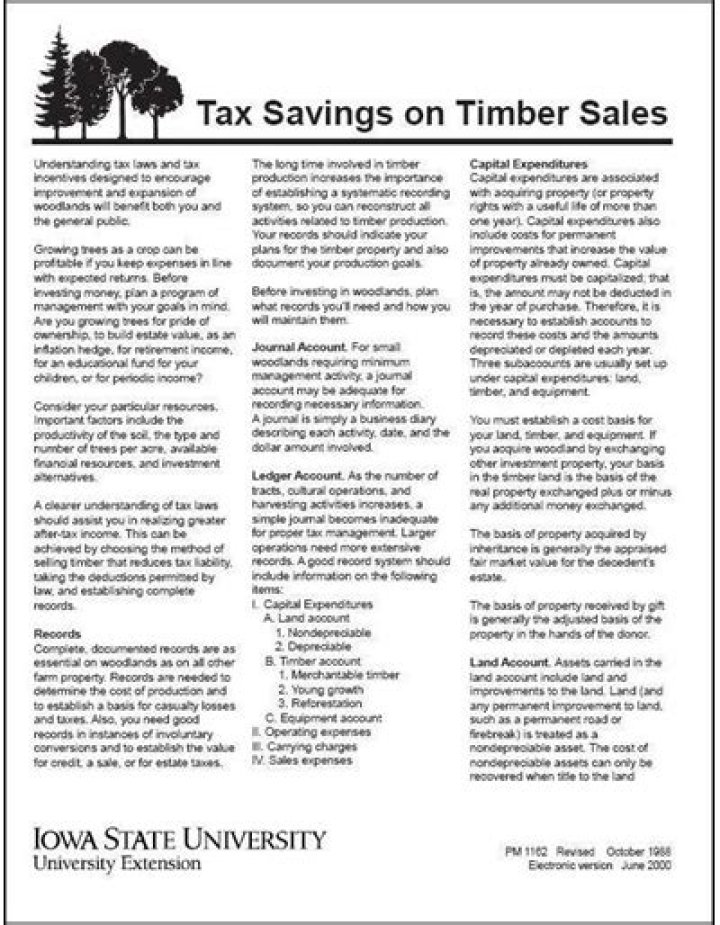 How do you report sale of timber on tax return?