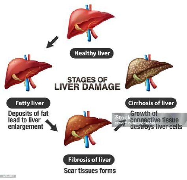 How do you restore a damaged liver?