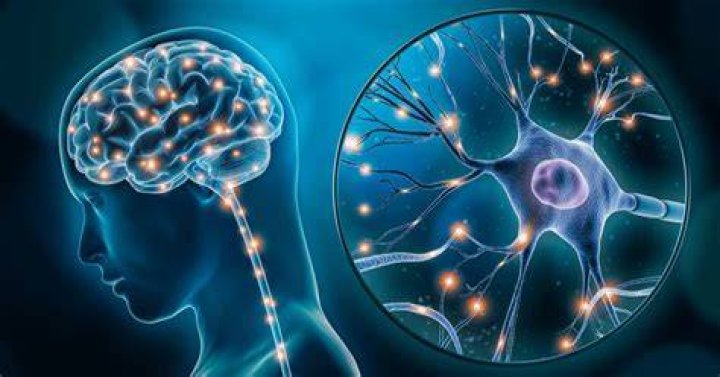 How do you retrain your brain to ignore tinnitus?