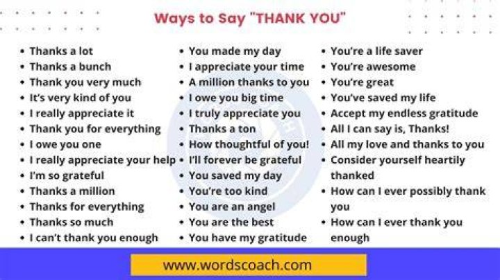 How do you say thank you not needed?