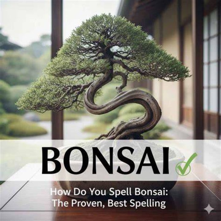 How do you spell Maya in Japanese?
