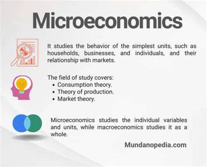 How do you study microeconomics?
