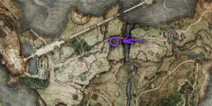 How do you summon Alexander Elden's ring?
