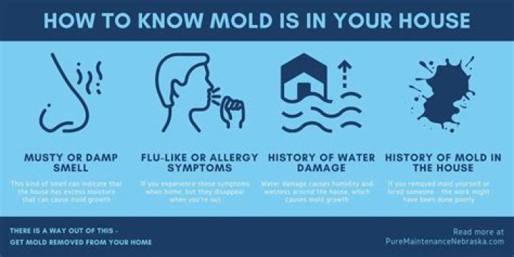 How do you tell if mold is making you sick?