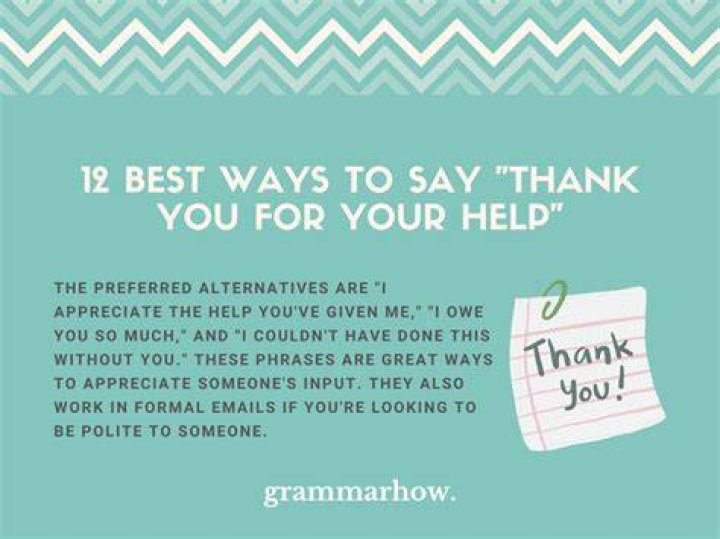 How do you thank someone for wanting help?