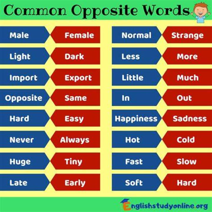 How do you use opposite?