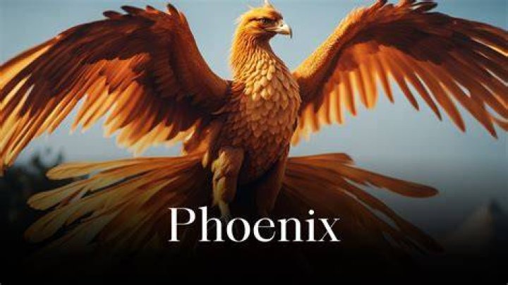 How does a phoenix look like?