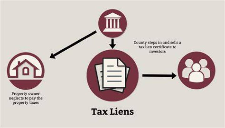 How does a tax lien invest in property?