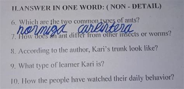 How does an ant differ from other insects or worms?