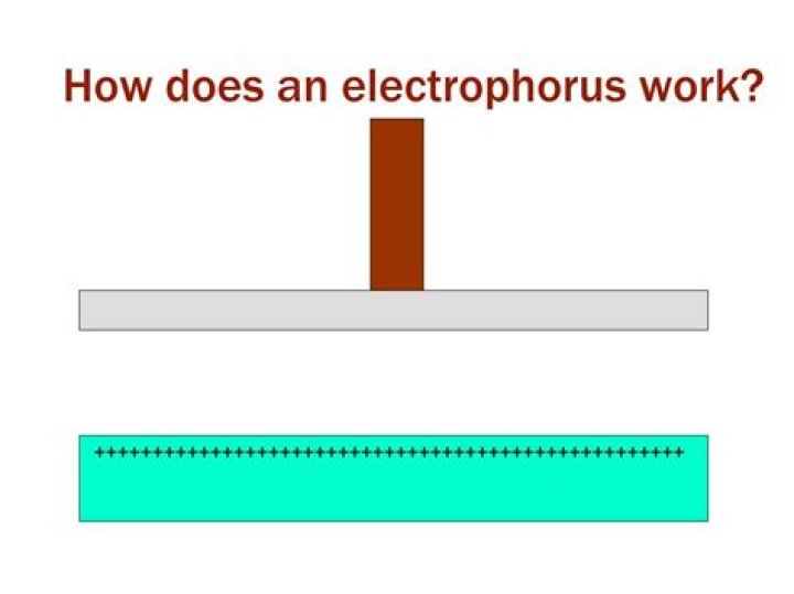 How does an Electrophorus work?