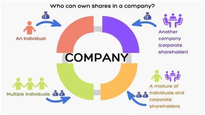 How does being a shareholder work?