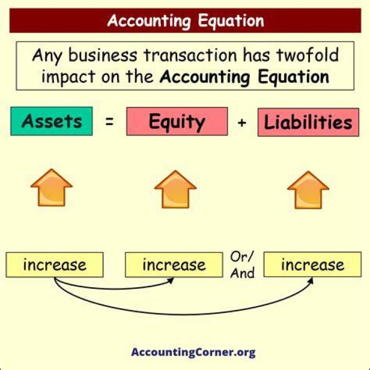 How does borrowing money affect the accounting equation?