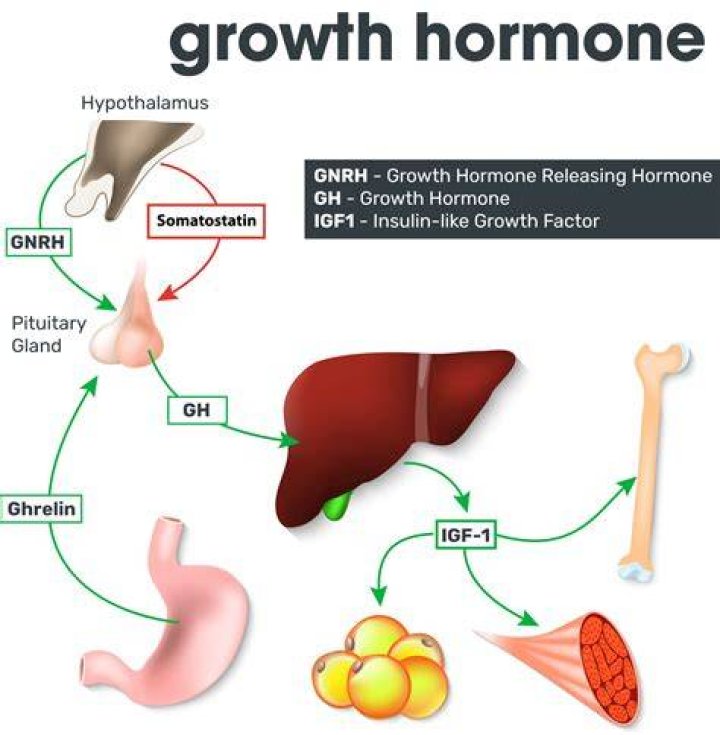 How does growth hormone cause sodium retention?