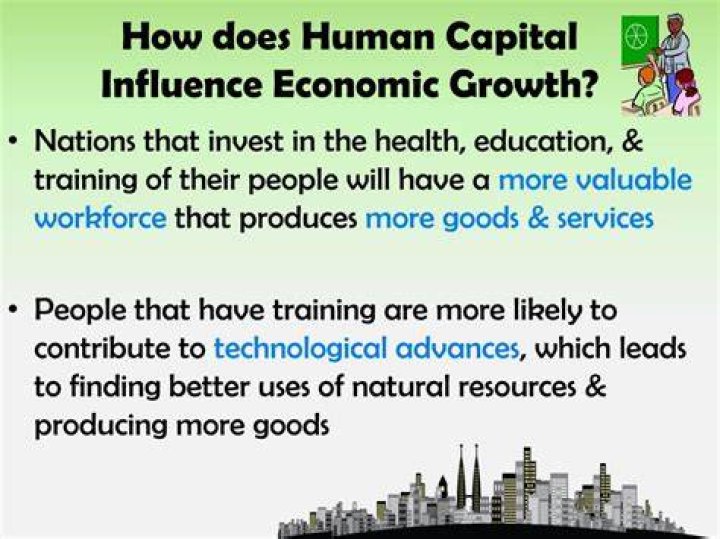 How does human capital influence training?